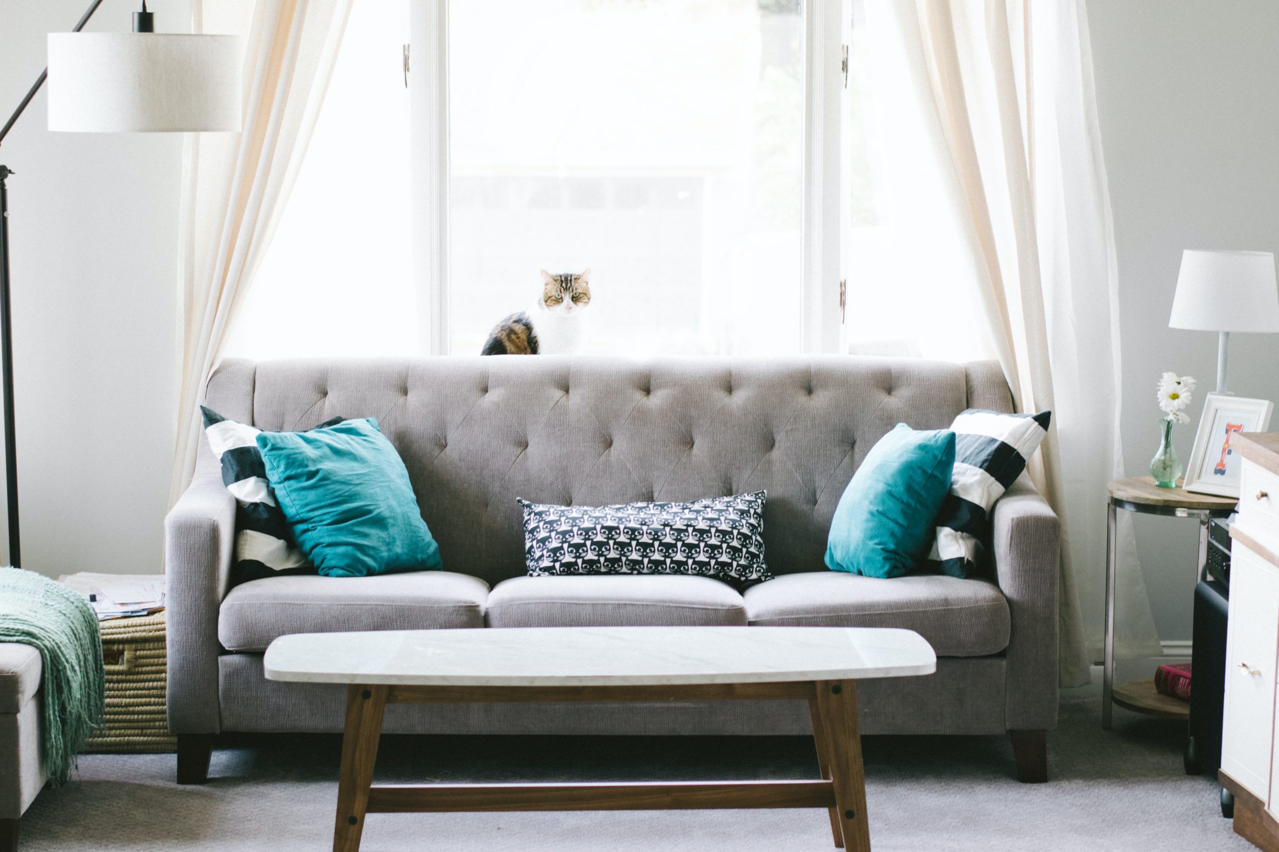 Lounge with soft furnishings and cat sat on window sill