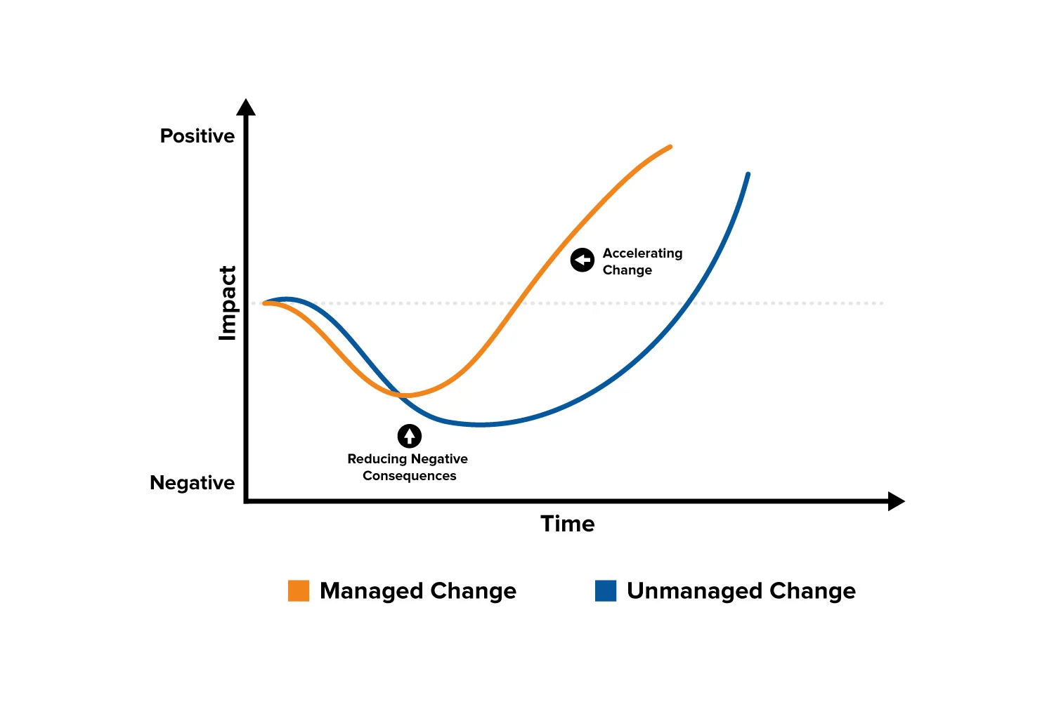 Management Process